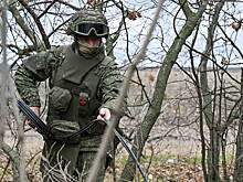 Нацгвардия Украины подтвердила продвижение ВС России к Красноармейску