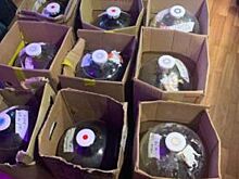 Полиция изъяла в Ейске больше 300 л пива из незаконного оборота