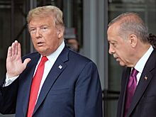 Трамп предостерег Эрдогана от военного вторжения в Ливию