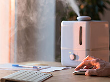 Пульмонолог раскрыл последствия использования грязного увлажнителя воздуха