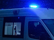 Три подростка погибли в ДТП с табуном лошадей в Башкирии