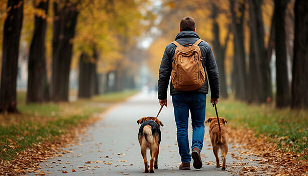 В Госдуме подготовили законопроект о регулировании деятельности заводчиков животных
