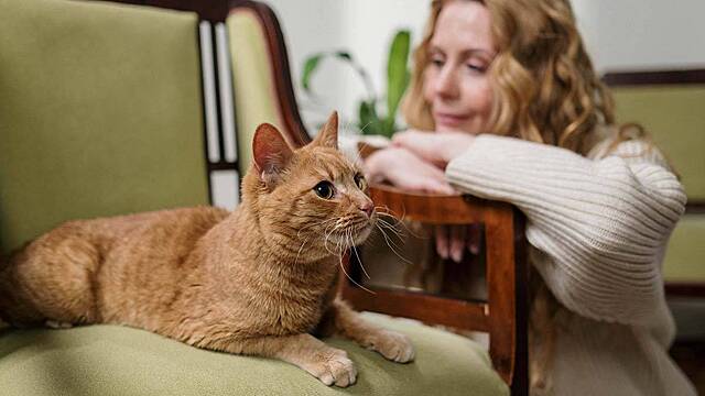 Названы имена женщин, под которыми рождаются старые девы