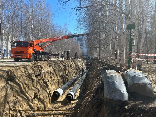 В нижневартовском парке Победы спасут от вырубки почти 200 деревьев