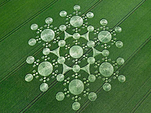 Интригующие факты о кругах на полях