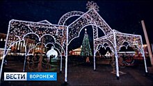 Воронеж вошёл в топ-10 популярных бюджетных городов для новогодних поездок