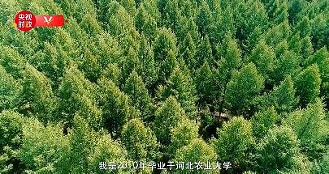 CCTV рассказало истории про лесхоз "Сайханьба" и его тружеников