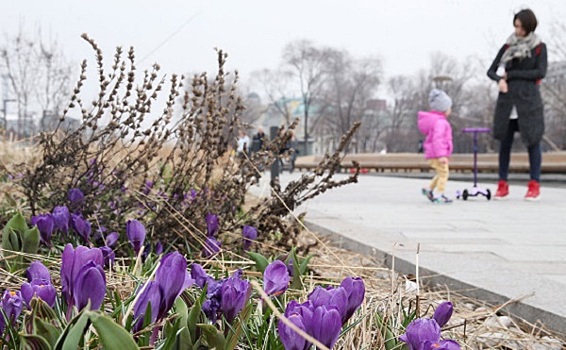 В Москве ожидается резкое изменение погоды к 9 мая