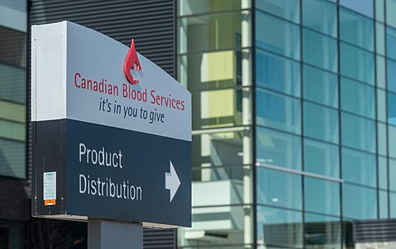 Донорские службы Канады призвали власти отменить запрет на сдачу крови геями и бисексуалами: Новости ➕1, 16.11.2021