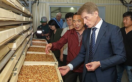 Завод по переработке кедрового ореха откроется в Приморье этой осенью