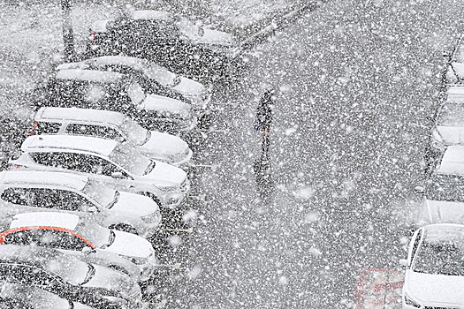 В Москве рассказали о работе парковок в новогодние праздники