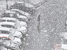 В Москве рассказали о работе парковок в новогодние праздники