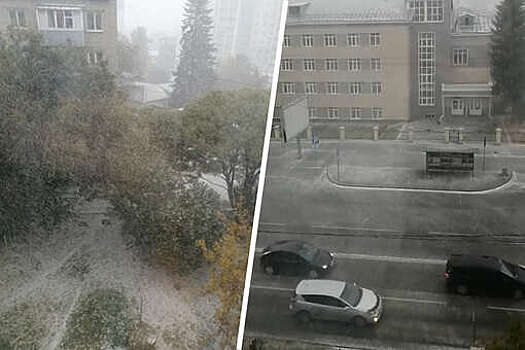 Первый снег выпал в Барнауле и других городах Алтайского края