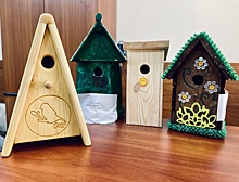 Птичий дом 2020: Мосприрода провела итоги конкурса по изготовлению искусственных гнездовий