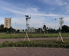 В Петербурге утвердили план строительства храма в парке на Канонерском острове