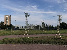 В Петербурге утвердили план строительства храма в парке на Канонерском острове