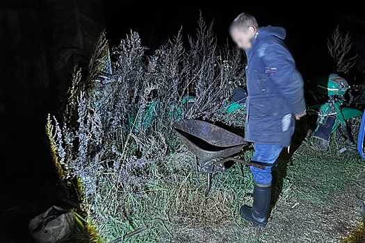 Амурчанин расправился с пенсионером в лесу: в Зейском районе нашли тело мужчины с признаками насильственной смерти