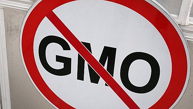 Ученые: Россия в ближайшие 100 лет сможет спокойно обойтись без ГМО