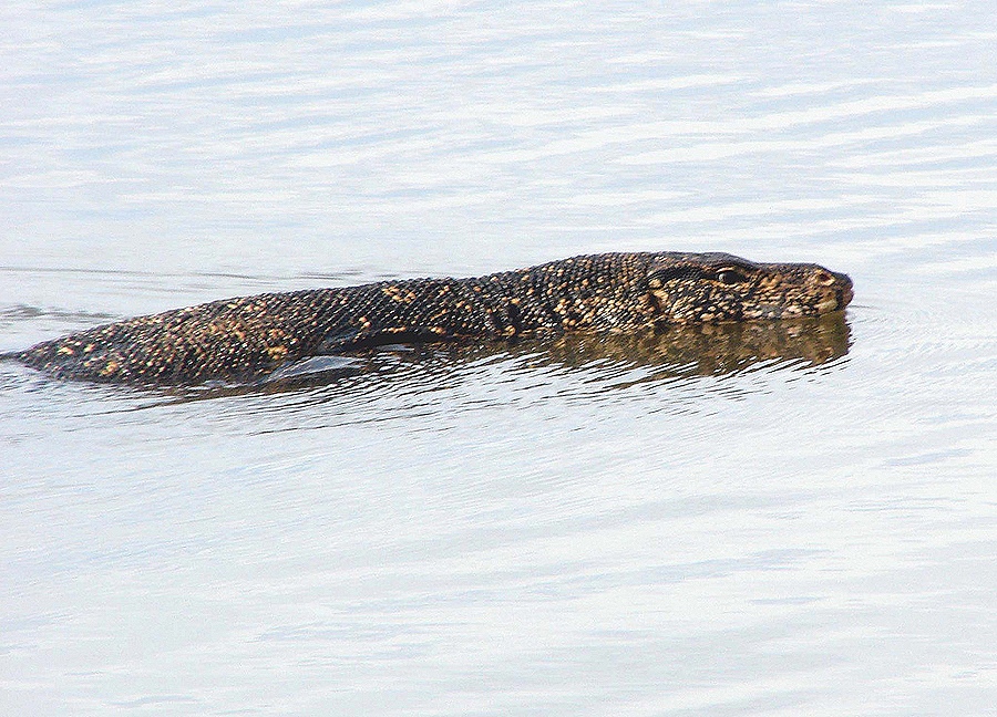 Бентота, Шри-Ланка, Шри-Ланка
