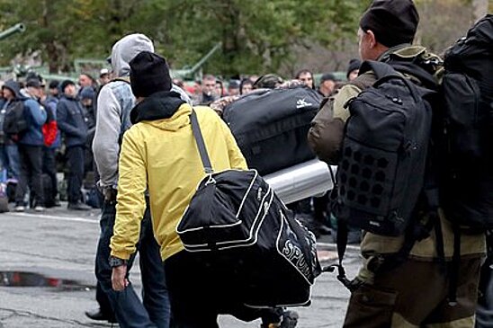IT-специалисты начали получать уведомления об отсрочке на «Госуслугах»