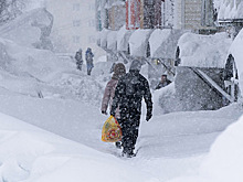 Историческими и экстремальными назвали метеорологи снегопады, которые завалили Камчатку