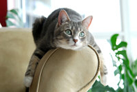 Долги россиян по кредитам и штрафам в этом году выросли