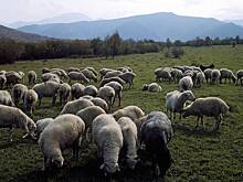 Российский регион получил полмиллиарда рублей на приобретение сельхозтехники