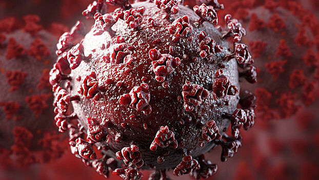 Ученые зафиксировали в реальном времени атаку человеческой клетки коронавирусом