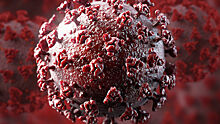 Ученые зафиксировали в реальном времени атаку человеческой клетки коронавирусом