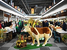 Россельхознадзор опроверг сообщения ретейлеров о грядущем дефиците