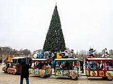 Более 6 тысяч мероприятий организовали для помощи семьям с детьми в Волгограде