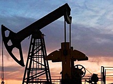 В ноябре РФ увеличила нефтедобычу до 1,48 млн тонн в сутки перед вводом Западом эмбарго