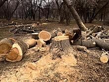 Деревянную перголу с качелями длиной 50 м установили возле центра фигурного катания в Ясенево