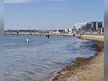 Врач Кондрахин: купание в море возле пляжей Анапы грозит закупоркой дыхательных путей