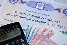 Семьи смогут получить средства маткапитала за 1 месяц и 10 дней после заявления в ПФР