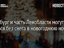 Петербург и часть Ленобласти могут остаться без снега в новогоднюю ночь