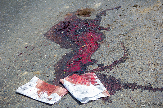 Грузовик в Иркутской области сбил школьницу насмерть