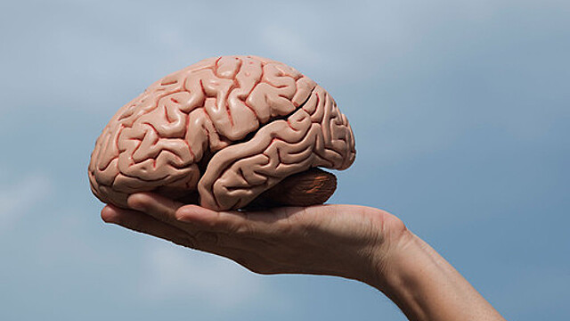 Психолог Дугенцова: йога и медитации помогают натренировать концентрацию