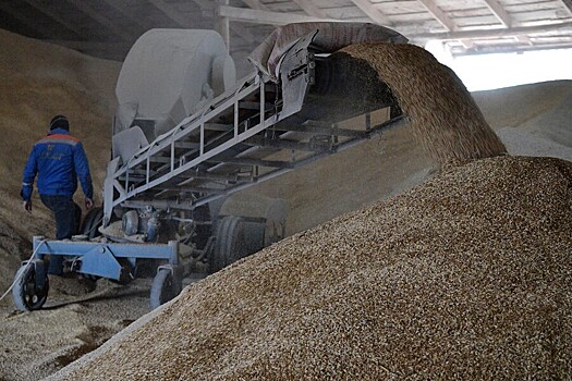 Польша намерена продлить запрет ввоза зерна с Украины до конца года