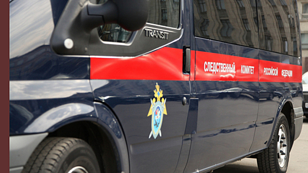 Подросток признался в убийстве 10-летней девочки под Хабаровском
