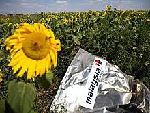 РФ ответила на обвинения в сокрытии данных о гибели MH17