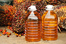 Ткачев рассказал о сроках маркировки продукты с наличием пальмового масла