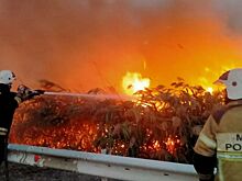 Сотрудники МЧС России защитили от огня населенный пункт в Волгодонском районе