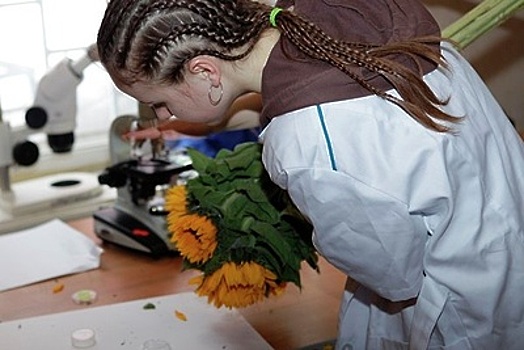 Россельхознадзор выявил в Подмосковье цветочный трипс в срезах гвоздики из Нидерландов