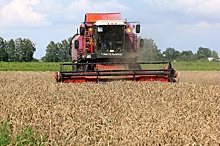 Президент Беларуси прогнозирует разворот к новому этапу в аграрной сфере