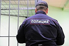 Поджигателя полицейских машин и склада Росгвардии отправили в СИЗО