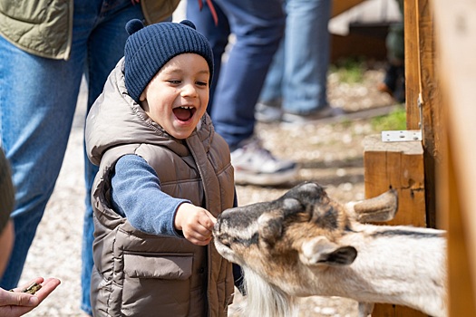 В честь Всемирного дня ребенка на ВДНХ пройдут тематические мероприятия