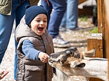 В честь Всемирного дня ребенка на ВДНХ пройдут тематические мероприятия
