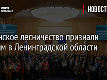 Рощинское лесничество признали лучшим в Ленинградской области