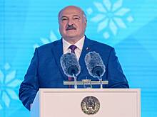 Лукашенко рассказал об отсутствии в Белоруссии проблем с квадроберами